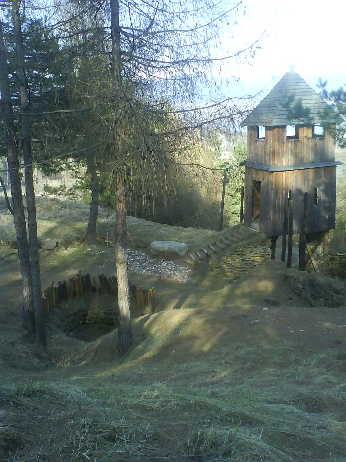 DSC01220.jpg